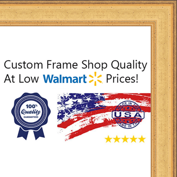 460R2228CG ArtToFrames 22 x 28 Inch 460 Rectangle Frame Champagne Gold Picture Frame Comes with Rectangle Acrylic Std Rectangle Frame Back and Wall Hanging Hardware 